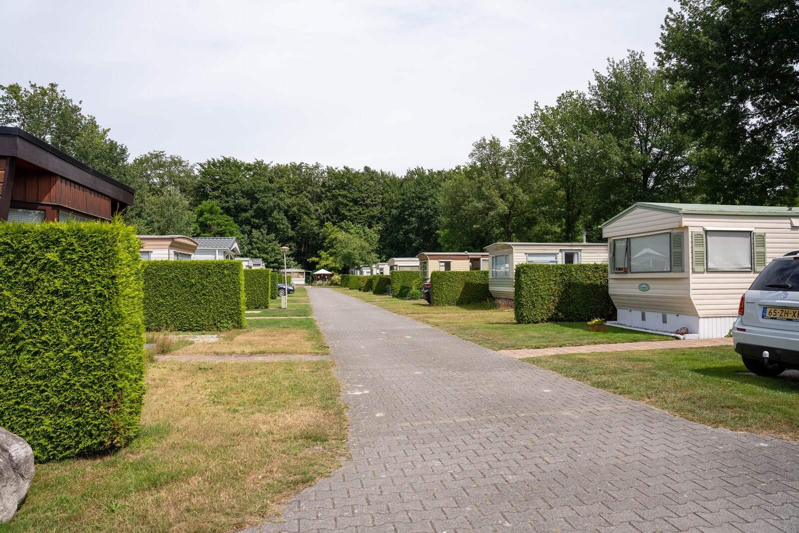 Jaarplaatsen