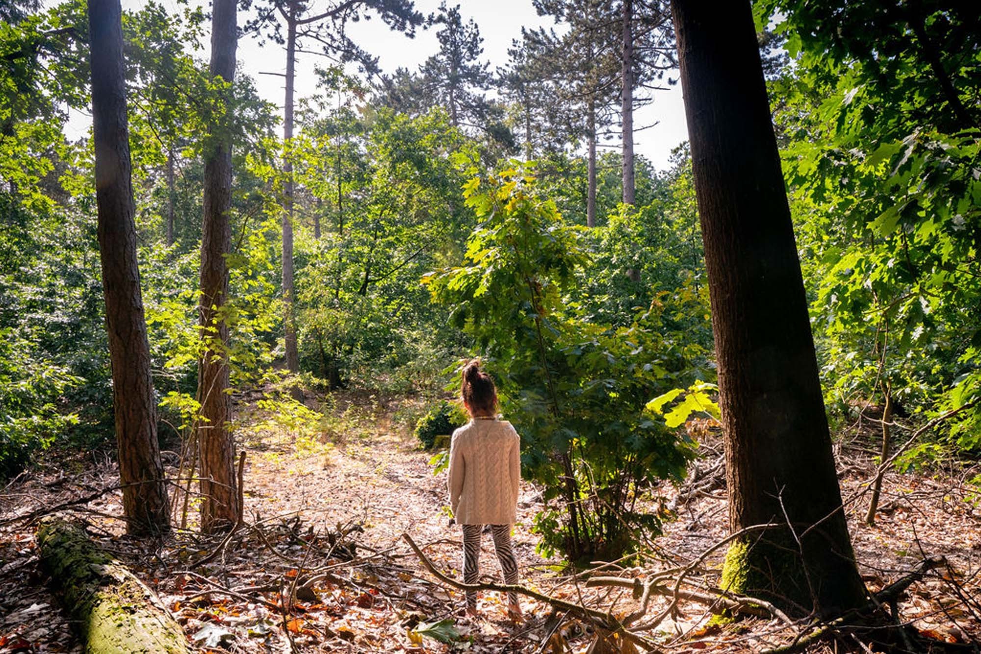 Familiecamping in het prachtige Drenthe